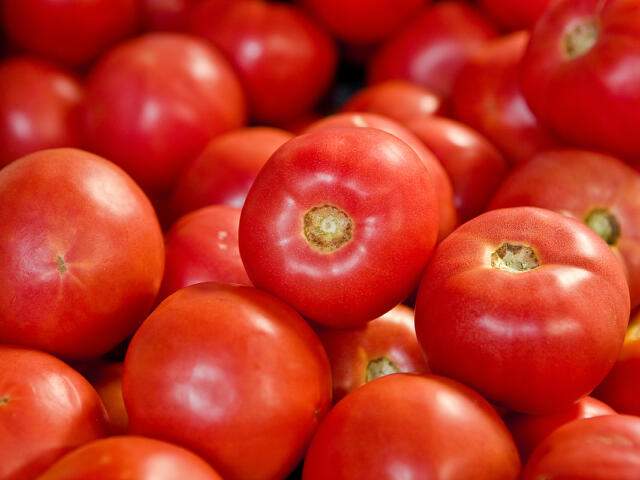 Pile of fresh red tomatoes with smooth shiny skin