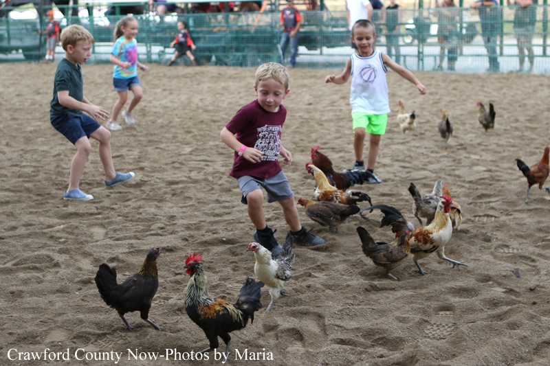 Children run and chase a flock of chickens on a dirt field, with a boy in a maroon shirt in the center and others nearby.