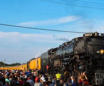 Steam locomotive pulling yellow passenger cars on a sunny day as a crowd gathers along the tracks for a train event.