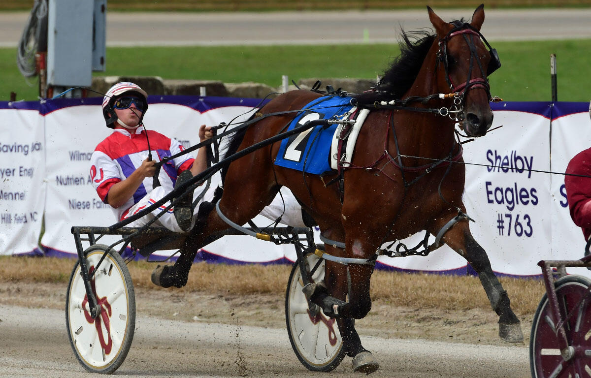 Harness racing scene: a brown horse pulls a two-wheeled sulky with a driver in red‑white attire on a dirt track, banner in background.