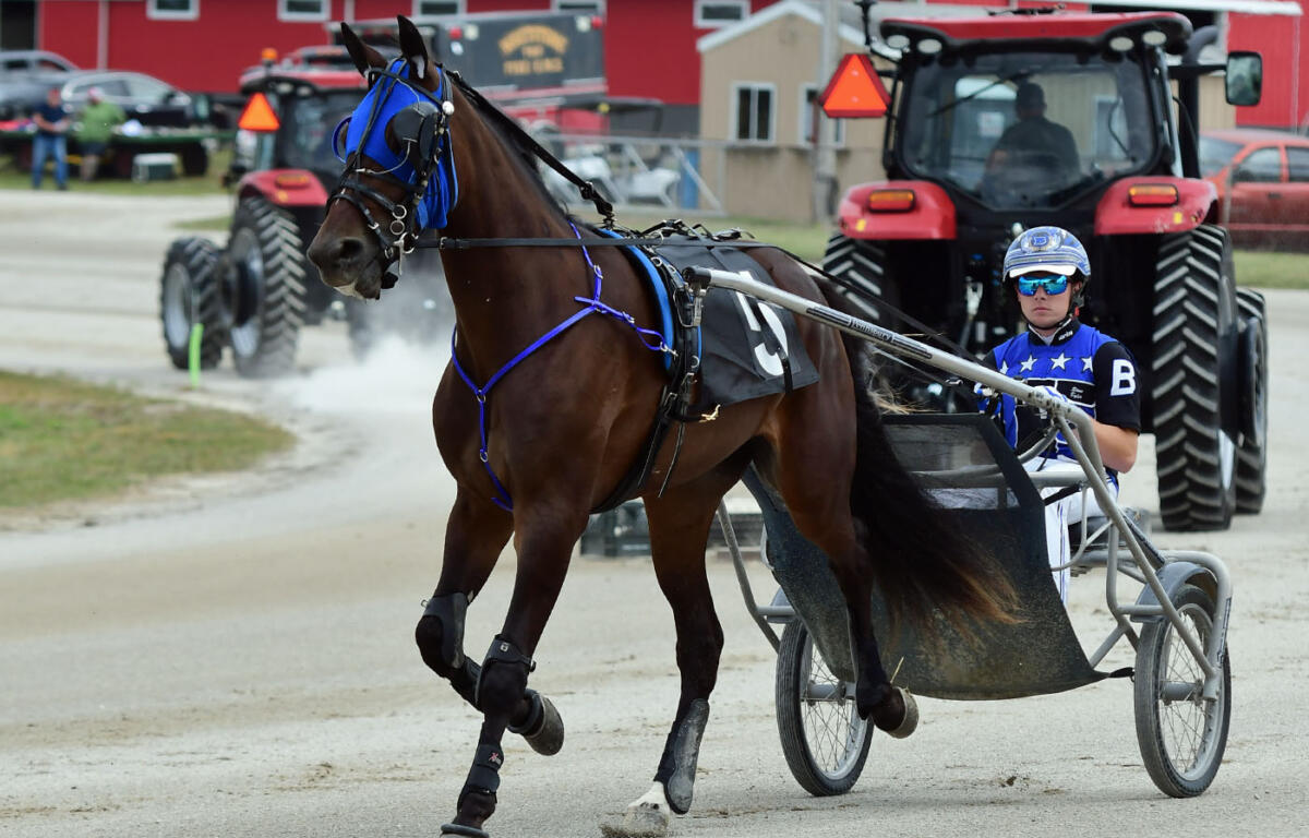 Horse-drawn sulky carriage racing on a dirt track, driver in blue star uniform and helmet at the reins