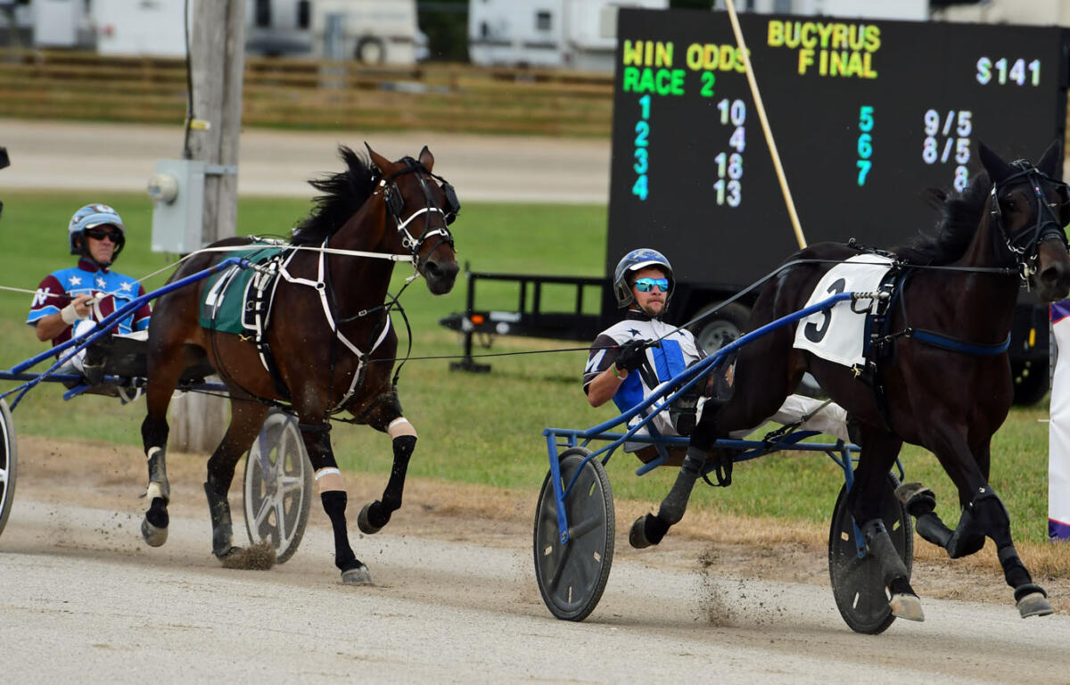 Two horses in harness race pull sulkies at full speed on a dirt track, drivers in blue and white racing outfits with a scoreboard in the background.