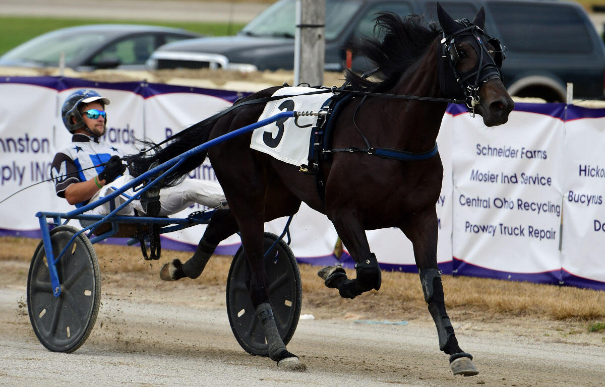 Horse in a sulky race, harnessed to blue sulky, driven by a helmeted jockey wearing blue and white, #3 on the saddle cloth, kicking up dust on track next to banners