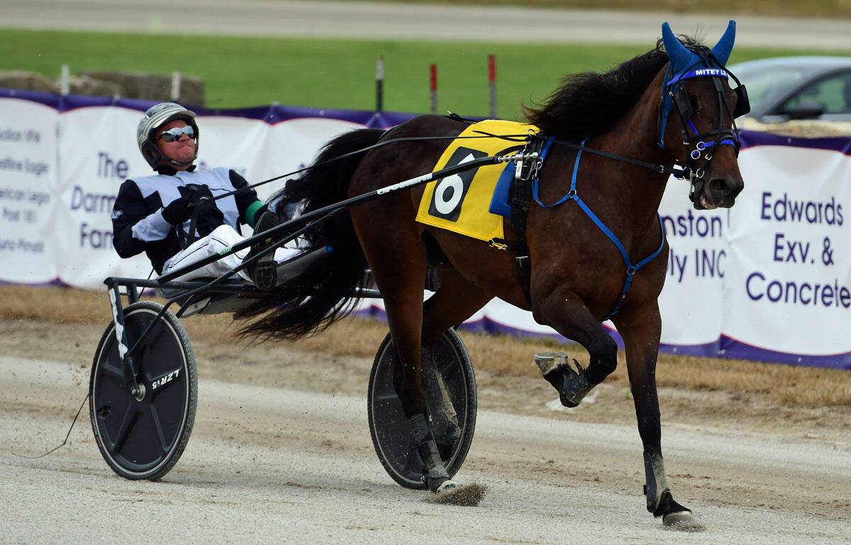 Harness racing scene: dark brown horse with blue tack and yellow number 6 racing on dirt track, driver in sulky and helmet behind.