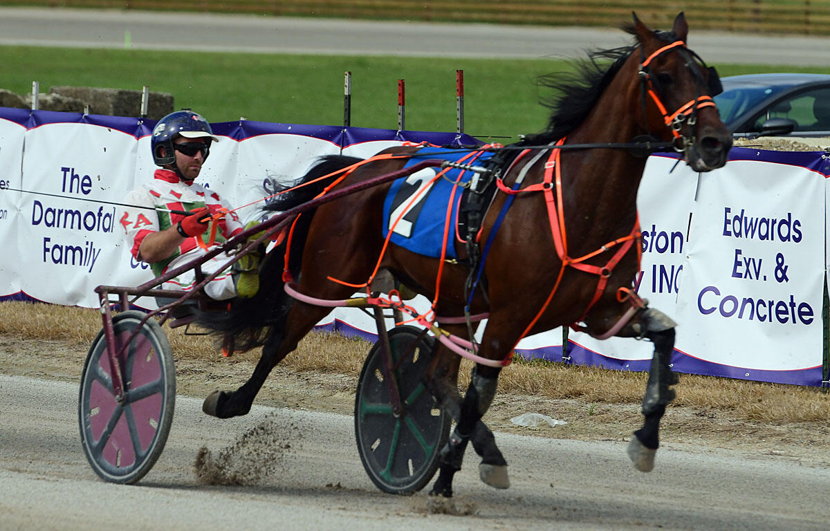Harness racing scene: brown horse pulling a pink sulky, driver in helmet and colorful attire, blue number-2 saddlecloth, on a dirt track with advertising banners behind.