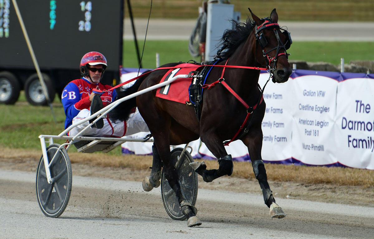 Dark brown horse in red harness pulls a two-wheeled sulky, driven by a jockey in red and blue on a dirt race track.