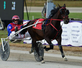 Dark brown horse in red harness pulls a two-wheeled sulky, driven by a jockey in red and blue on a dirt race track.