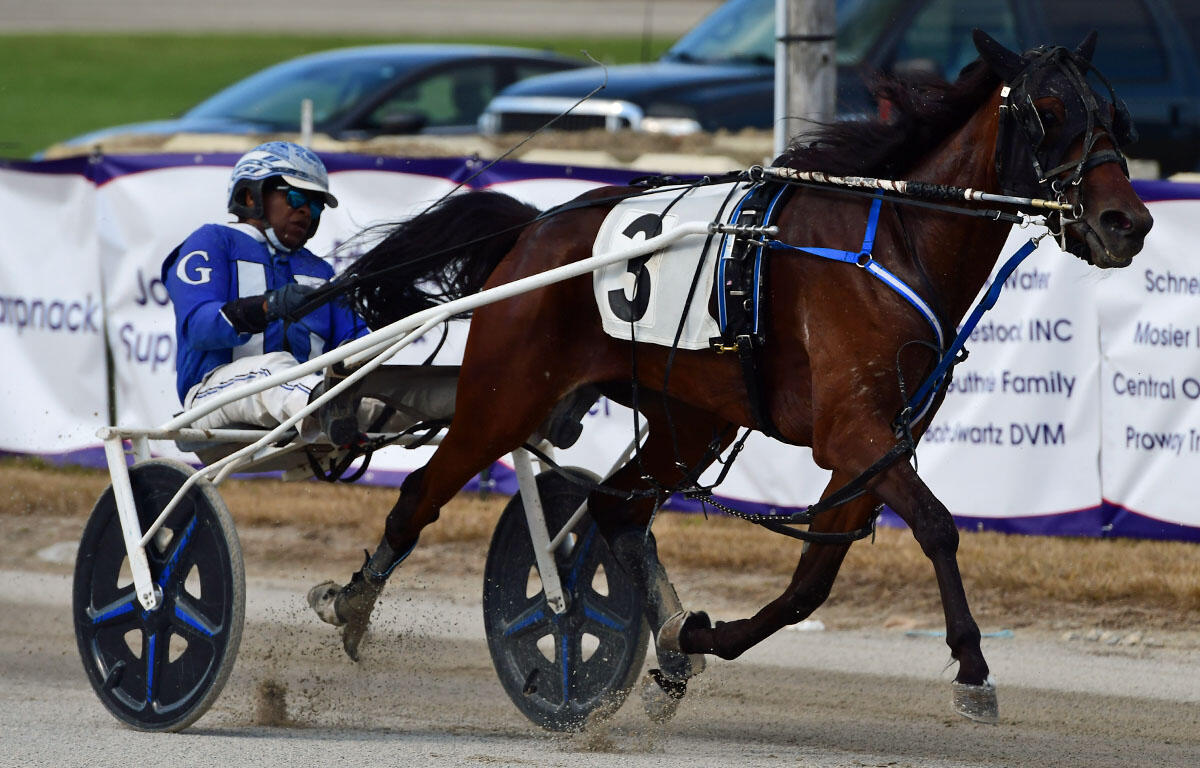 Brown racehorse in harness with sulky, wearing number 3, driven by a jockey in blue and white on a dirt track.