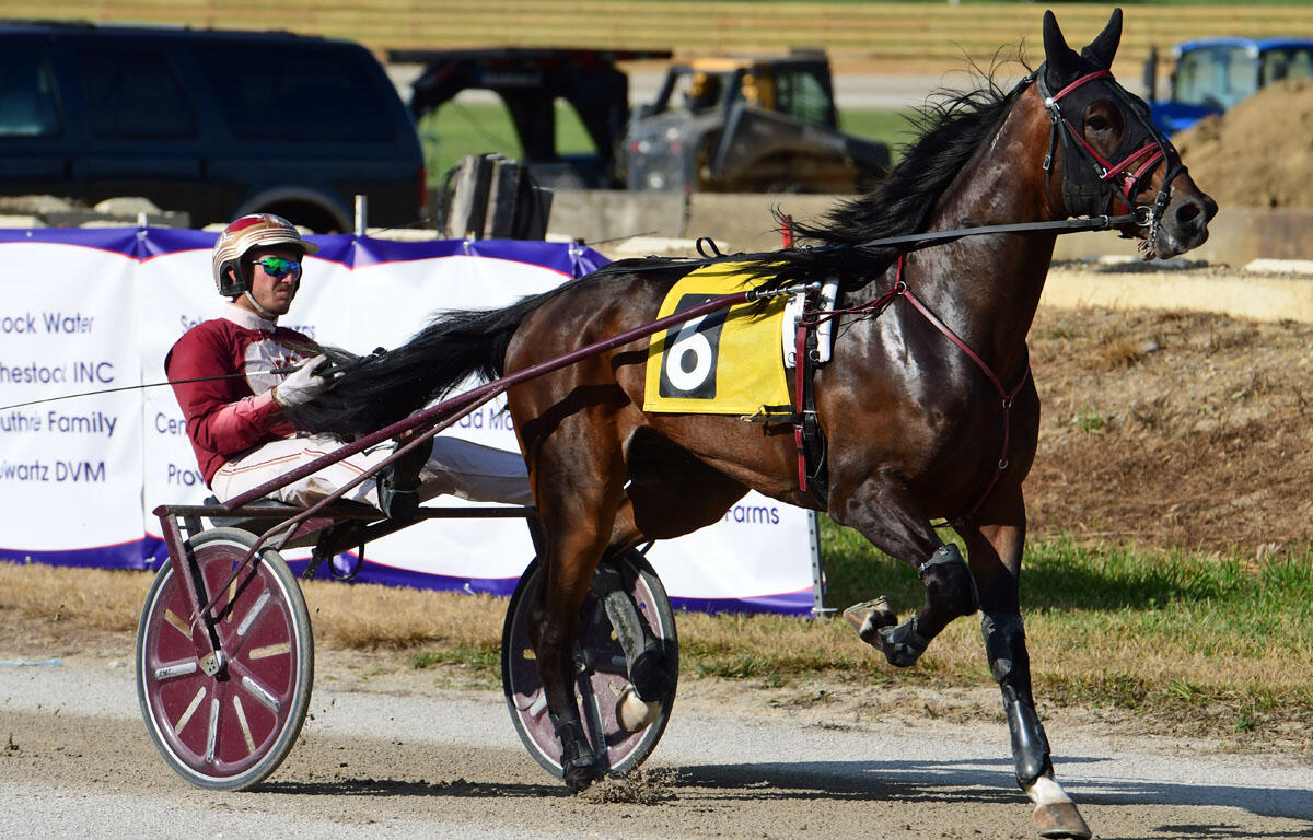 Brown horse pulling a racing sulky with a driver in red and white helmet and maroon outfit, number 6 on the saddle cloth, racing on a track with banners in the background.