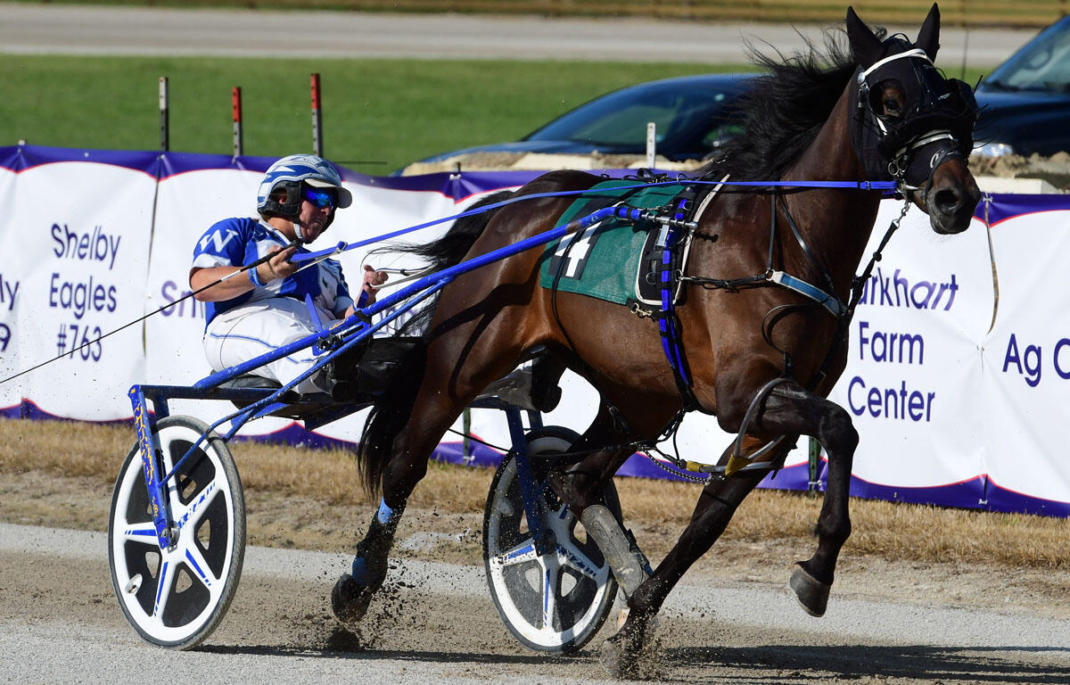 Driver in blue and white racing suit rides a sulky-drawn horse on a track, kicking up dirt as it sulkies forward.
