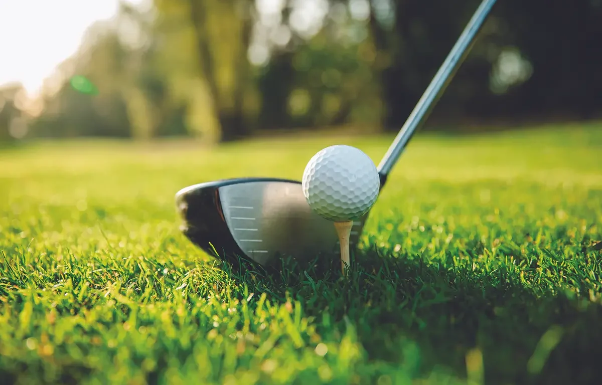 Wynfred Ladies Golf