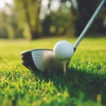 Wynfred Ladies Golf