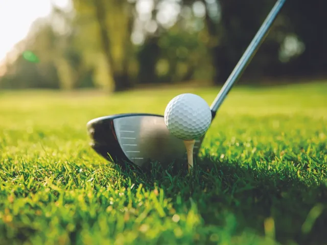 Wynfred Ladies Golf