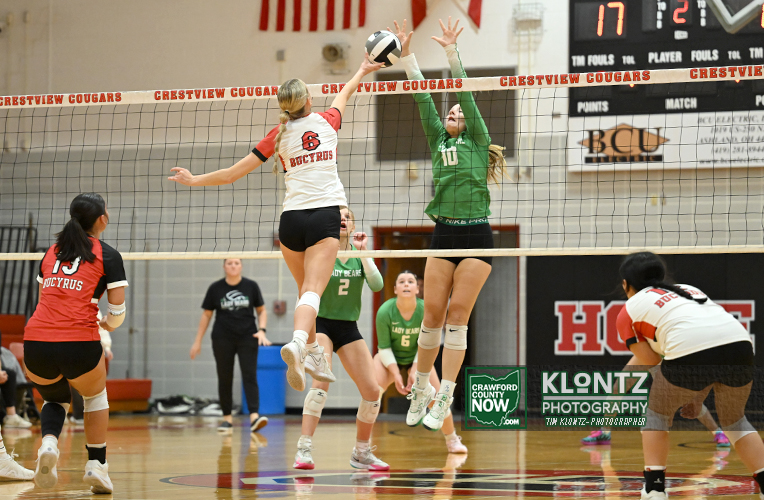 Calvert’s Borgio named N10 volleyball player of year - Crawford County Now